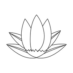 flower and leafs floral decoration vector illustration design