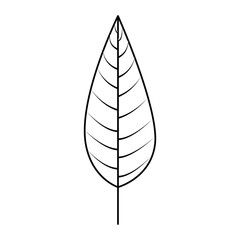 cute leafs decorative icon vector illustration design