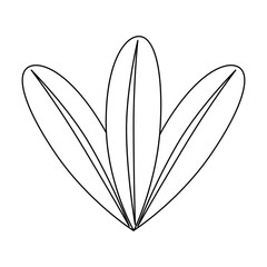 cute leafs decorative icon vector illustration design