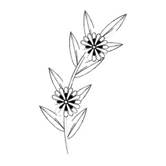 flower and leafs floral decoration vector illustration design