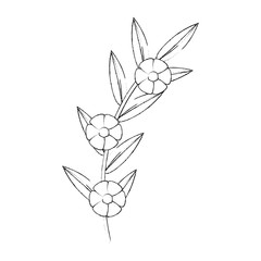 flower and leafs floral decoration vector illustration design