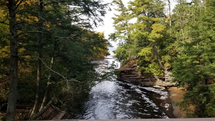 Obraz premium Green paradise 