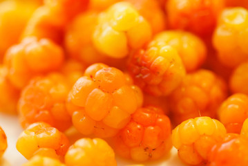 fresh and ripe cloudberry