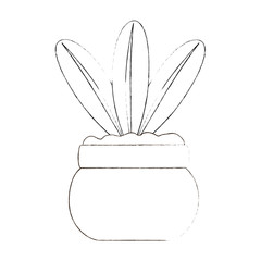 cute leafs decorative in pot vector illustration design