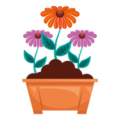 flowers in pot gardening spring decoration vector illustration