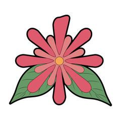 flower and leafs floral decoration vector illustration design