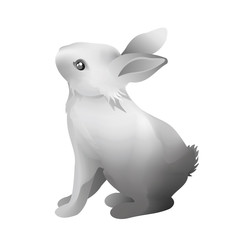 Rabbit. Hand drawn vector illustration of little bunny isolated on white background.