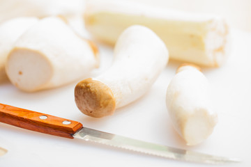 Fresh mushrooms at cutting board with peeled zucchini and small knife; close-up; 