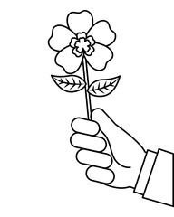 hand holding beautiful flower nature vector illustration