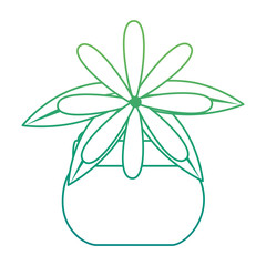 cute flower decorative in pot vector illustration design