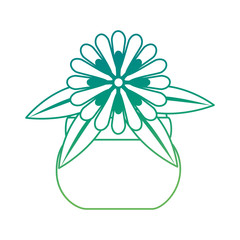 Obraz premium cute flower decorative in pot vector illustration design