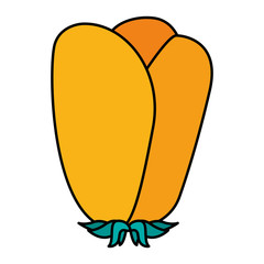 flower natural decoration ornament spring icon vector illustration