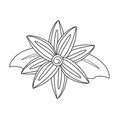 Beautiful flower isolated icon vector illustration graphic design