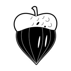 Nut food symbol icon vector illustration graphic design