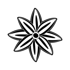 Beautiful flower isolated icon vector illustration graphic design