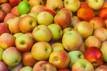 apple background, ripe delicious natural red yellow apples