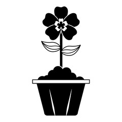 potted flower interior decoration garden spring vector illustration