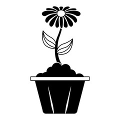 potted flower interior decoration garden spring vector illustration