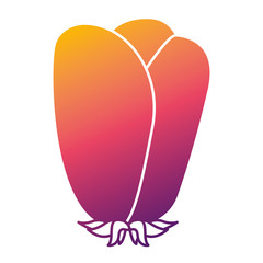 flower natural decoration ornament spring icon vector illustration