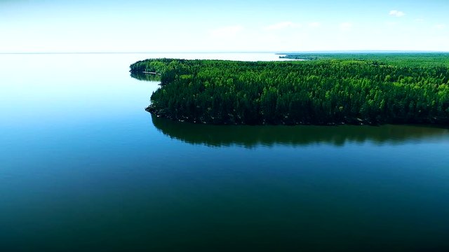 Clear water lake and green forest. Onega lake in Russia. Onejskoe ozero. Aerial drone aero.