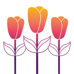 Fototapeta premium decoration three stem petal flower leaf botanical vector illustration