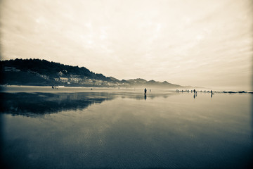 View of the Oregon Coast Sea Side with beautiful reflection on summer time. United State Of America. blue filter