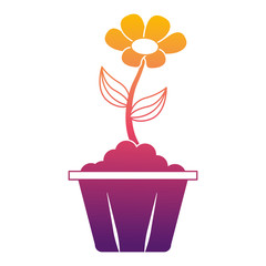 potted flower interior decoration garden spring vector illustration