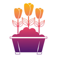 flowers in pot gardening spring decoration vector illustration