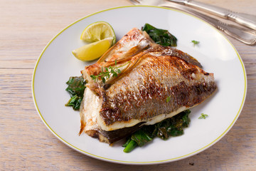Roasted sea bream with spinach. Dorado or dorada fish fillet on white plate