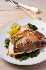 Roasted sea bream with spinach. Dorado or dorada fish fillet on white plate