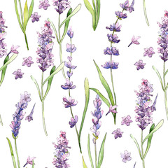 Wildflower lavender flower pattern in a watercolor style. Full name of the plant: lavender. Aquarelle wild flower for background, texture, wrapper pattern, frame or border.