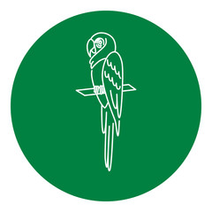 Macaw parrot icon in thin line style