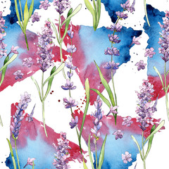 Wildflower lavender flower pattern in a watercolor style. Full name of the plant: lavender. Aquarelle wild flower for background, texture, wrapper pattern, frame or border.
