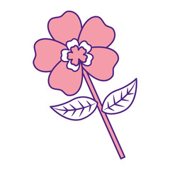 flower stem petal leaves natural spring image vector illustration pink image design