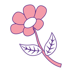 flower stem petal leaves natural spring image vector illustration pink image design