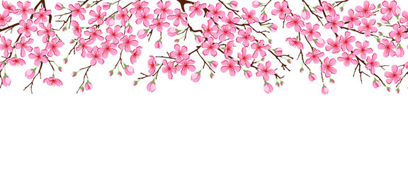 Obraz premium Seamless horizontal pattern with pink cherry flowers. Branches of a blossoming sakura on a white isolated background.