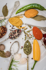 Various herbs and spices in spoons
