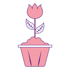 potted flower interior decoration garden spring vector illustration pink image design