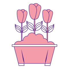 flowers in pot gardening spring decoration vector illustration pink image design