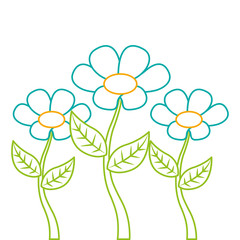 round floral flowers arrangement spring decoration vector illustration color lineal design