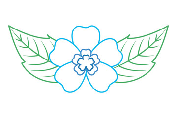 flowers and leaves natural spring decoration vector illustration color lineal design