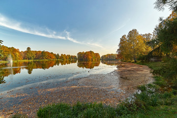 Słoneczny jesienny krajobraz - park w złotych kolorach, ze stawem i malowniczą wyspą, pożółkłe liście dominują w obrazie - obrazy, fototapety, plakaty