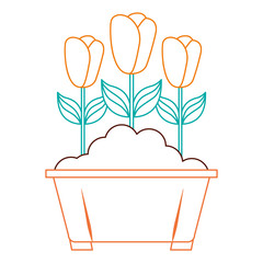 flowers in pot gardening spring decoration vector illustration color line image
