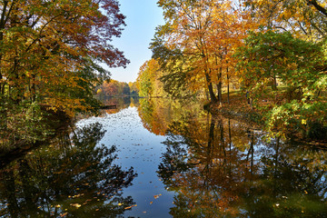 Słoneczny jesienny krajobraz - park w złotych kolorach, wodny trakt z malowniczymi wysepkami wokół, pożółkłe liście dominują w obrazie - obrazy, fototapety, plakaty
