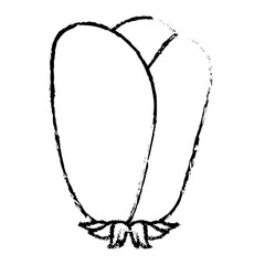 flower natural decoration ornament spring icon vector illustration sketch image