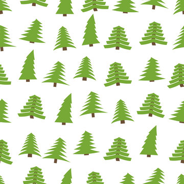 Seamless pattern with spruces on white background. Vector illustration
