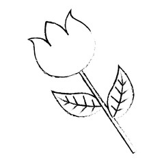 flower stem petal leaves natural spring image vector illustration sketch image