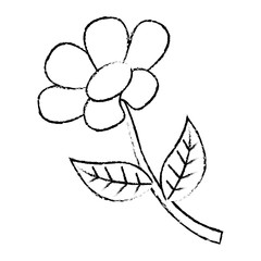 flower stem petal leaves natural spring image vector illustration sketch image