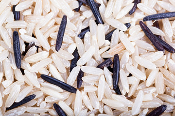 Wild and mixed rice background
