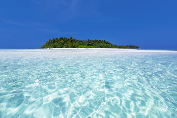 Wild Maldives island with sandy beach